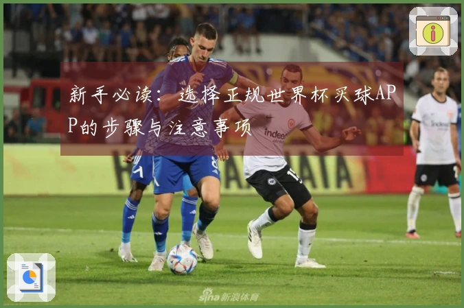 新手必读：选择正规世界杯买球APP的步骤与注意事项