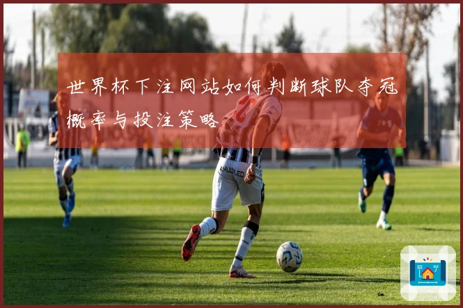 世界杯下注网站如何判断球队夺冠概率与投注策略