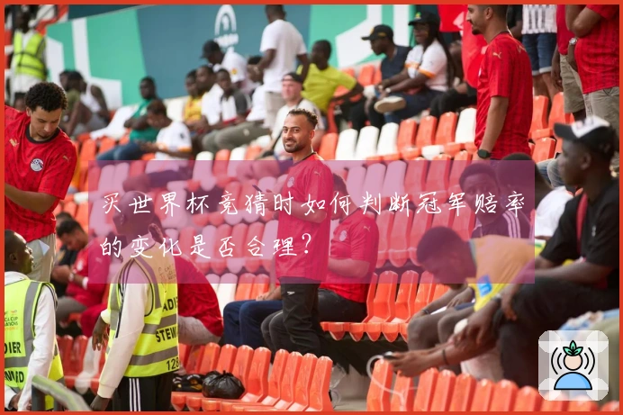买世界杯竞猜时如何判断冠军赔率的变化是否合理？
