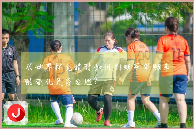 买世界杯竞猜时如何判断冠军赔率的变化是否合理？
