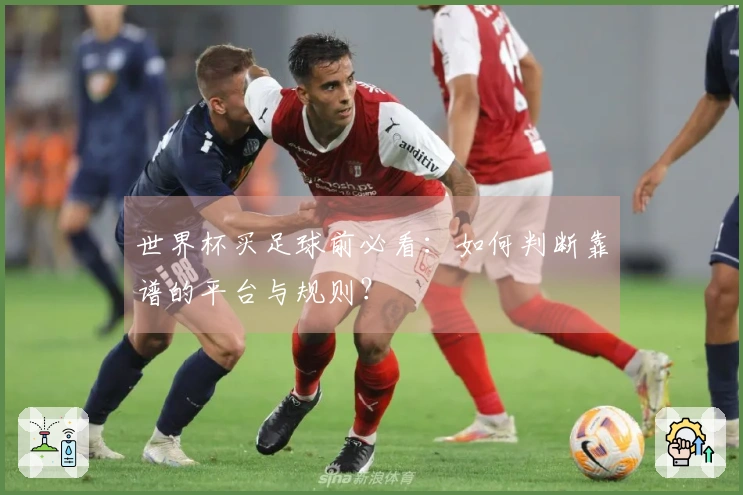 世界杯买足球前必看：如何判断靠谱的平台与规则？