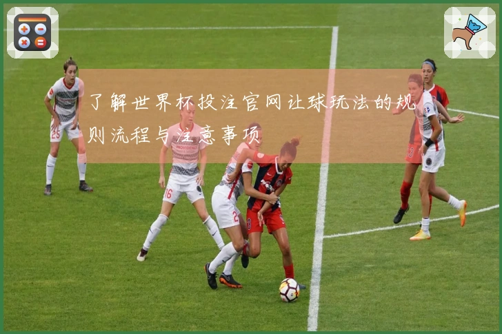 了解世界杯投注官网让球玩法的规则流程与注意事项