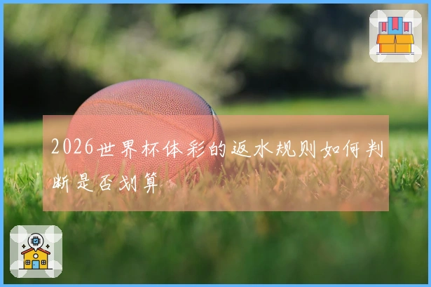 2026世界杯体彩的返水规则如何判断是否划算